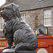 Greyfriars Bobby...faithful pet